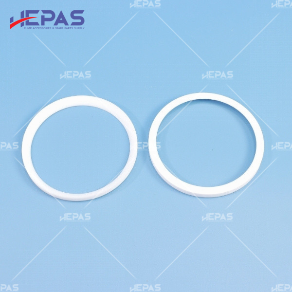 Seal Check Valve H720-047-600