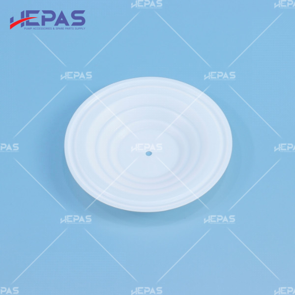 Diaphragm PTFE H108839