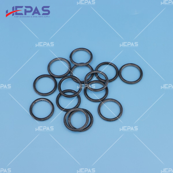 O-Rings HPD000019