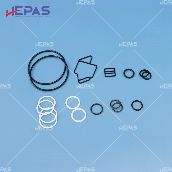 Seal Kit HSKDS04P