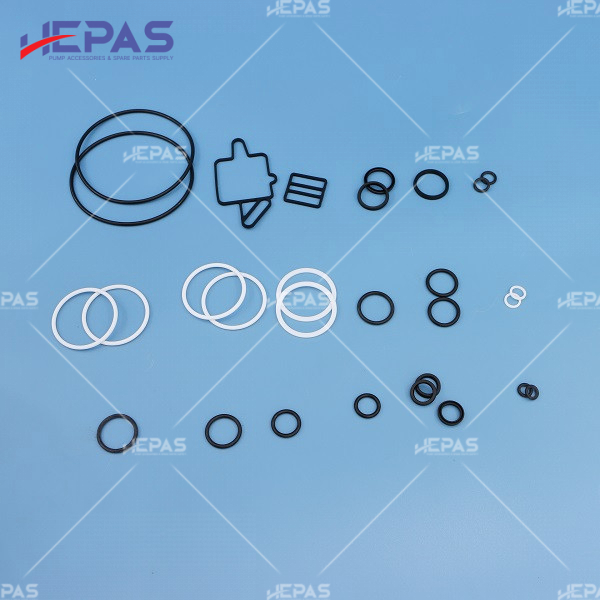 Seal Kit HSKDS06