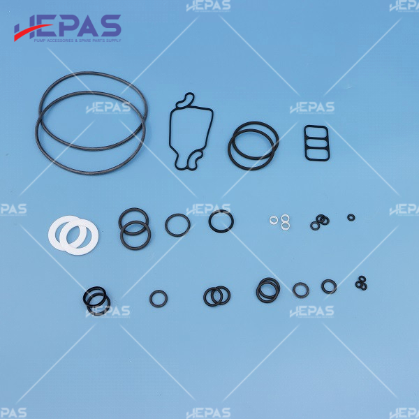 Seal Kit HSKDS10P