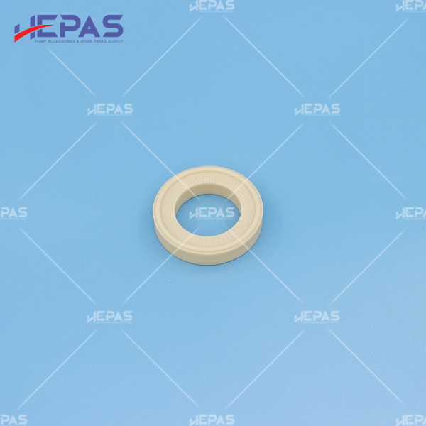 Seat Check Ball H04-1120-58