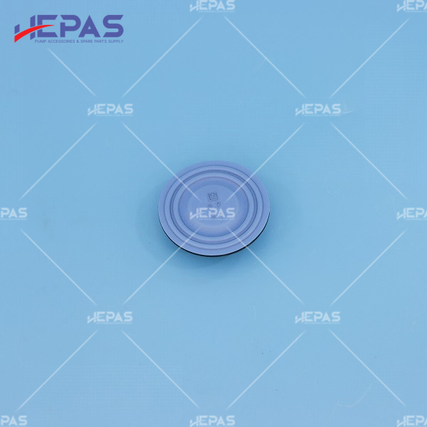 Diaphragm 55m6